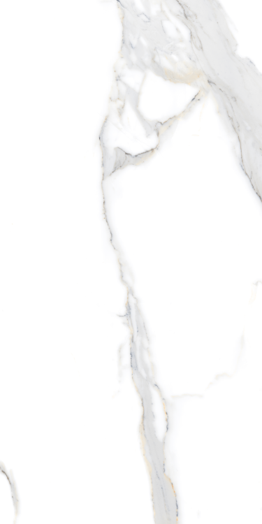 Matrix Statuario Fantasia Polished 12 x 24